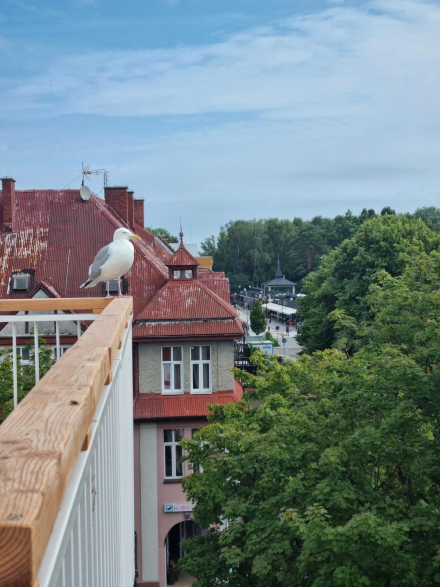 Hotel Promien Slonca Svinoústí Exteriér fotografie